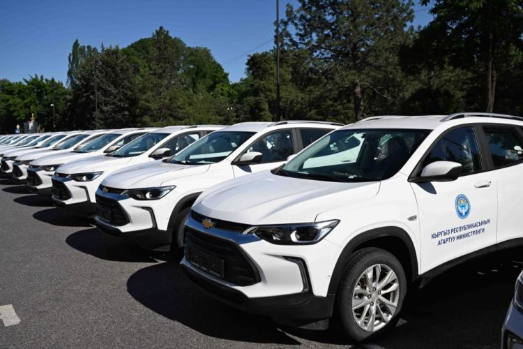 Минпросвещения передали 91 служебный автомобиль