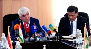 В Таджикистане за полгода восстановили и создали почти 3,3 тыс. гектаров лесов