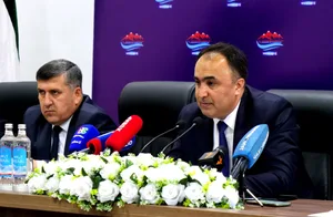 На медном проявлении Санги Сурх обнаружены золото- и серебросодержащие пласты