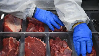 В Таджикистане увеличились объемы производства мясной продукции