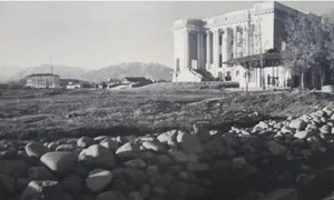 85 лет тени и памяти. Как дубы у театра Айни стали живой памятью Душанбе