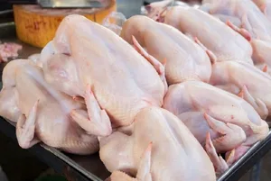 Meat imports to Kyrgyzstan reached $22.62 million since beginning of 2026
