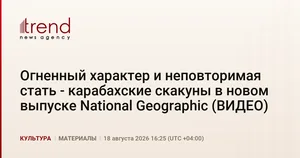 Огненный характер и неповторимая стать - карабахские скакуны в новом выпуске National Geographic (ВИДЕО)