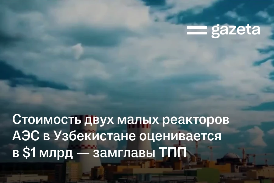 Стоимость двух малых реакторов АЭС в Узбекистане оценивается в $1млрд — замглавы ТПП