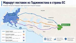 Компании Таджикистана получили доступ к льготам при экспорте в ЕС
