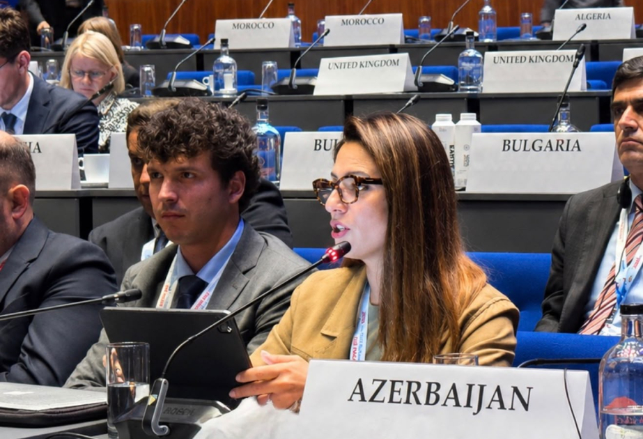 Политика кибербезопасности Азербайджана доведена до сведения Парламентской Ассамблеи ОБСЕ