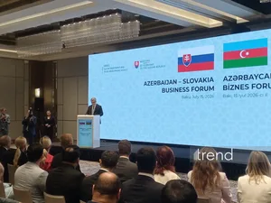 Азербайджан расширяет инвестиционное сотрудничество с международными партнерами - AZPROMO