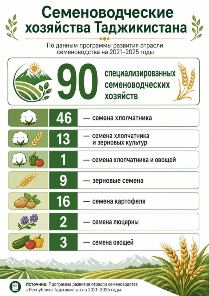 Эмомали Рахмон поручил устранить проблемы в семеноводстве после критики отрасли