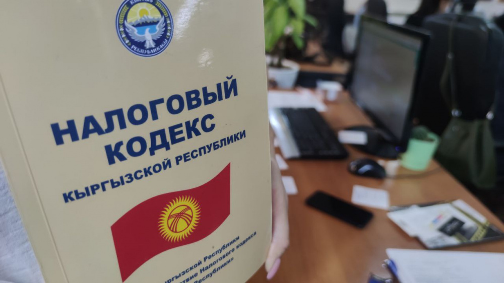 Увеличить налоговые вычеты ради детей предлагают депутаты ЖК