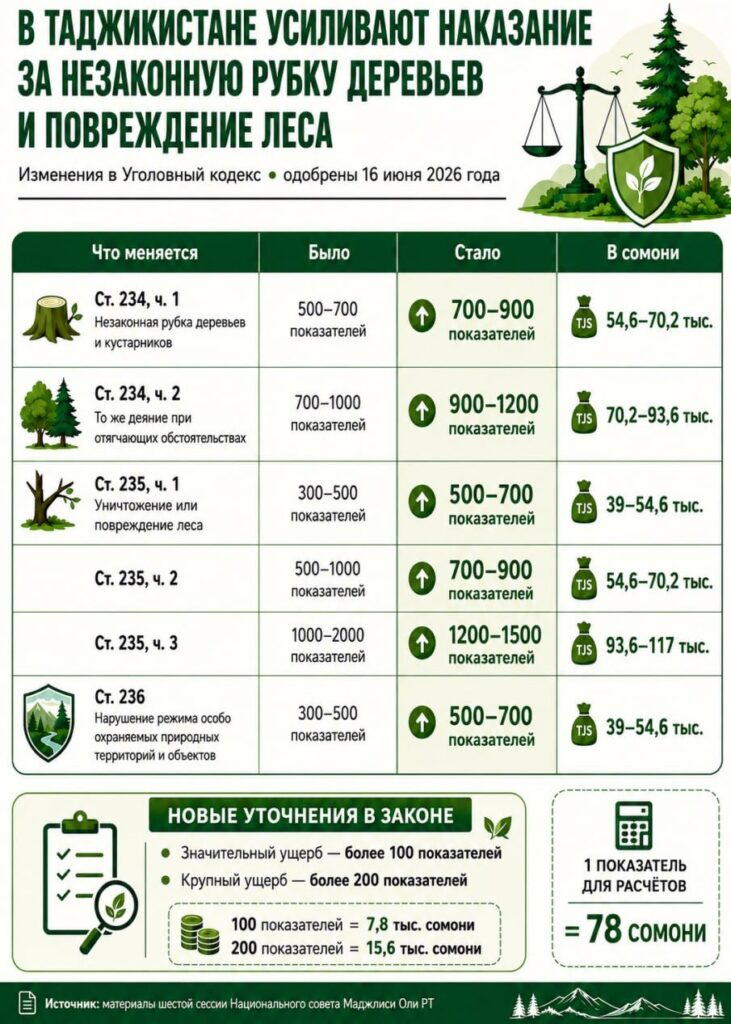 В Таджикистане повысили штрафы за незаконную вырубку деревьев