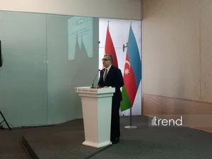Азербайджан и Таджикистан укрепляют экспортно-инвестиционные связи