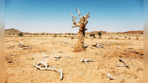 Намибия примет участие в климатической конференции UNCCD COP17 в Монголии