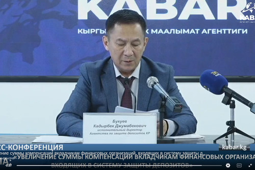 Объем депозитов в банках Кыргызстана достиг 928 млрд сомов, - Агентство по защите депозитов