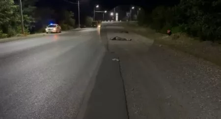 Еще один водитель будет привлечен к ответственности по новому закону. Возбуждено уголовное дело, нарушитель помещен по стражу на два месяца