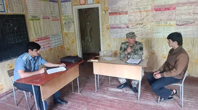 В Таджикистане расследуют случай жестокого обращения с детёнышем лисицы