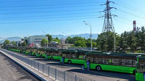 В Душанбе увеличат количество общественного транспорта
