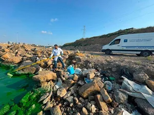Озеро Беюкшор окрасилось в зеленый цвет