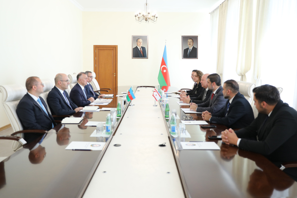 Динчюрек в Минздраве Азербайджана