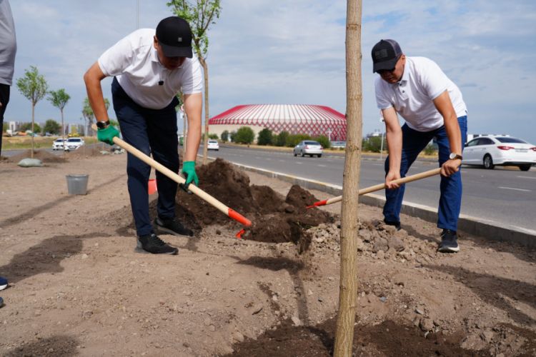 More than 600 trees to be planted on Aaly Tokombaev Avenue in Bishkek