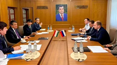Строительство российско-таджикского парка переходит в практическую фазу