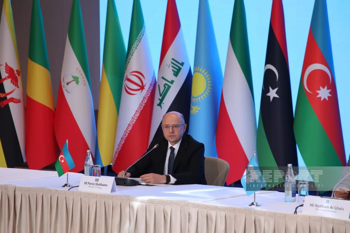 Пярвиз Шахбазов: Энергопереход не заменяет нефть и газ, а дополняет их