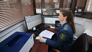 В ЕАЭС проработали новые таможенные упрощения для товаров УЭО