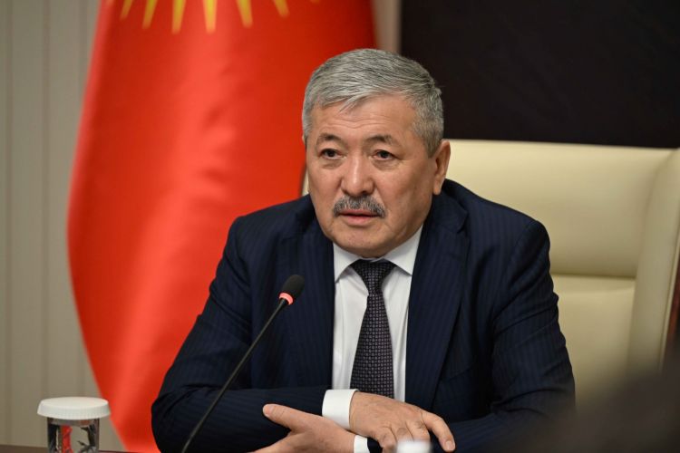 Cabinet seeks ways to remove Kyrgyz companies from sanctions lists