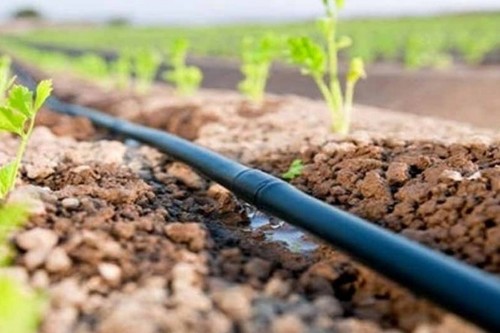 На водосберегающие системы в сельском хозяйстве предусмотрено 500 млн сомов под 2% годовых, - Минсельхоз