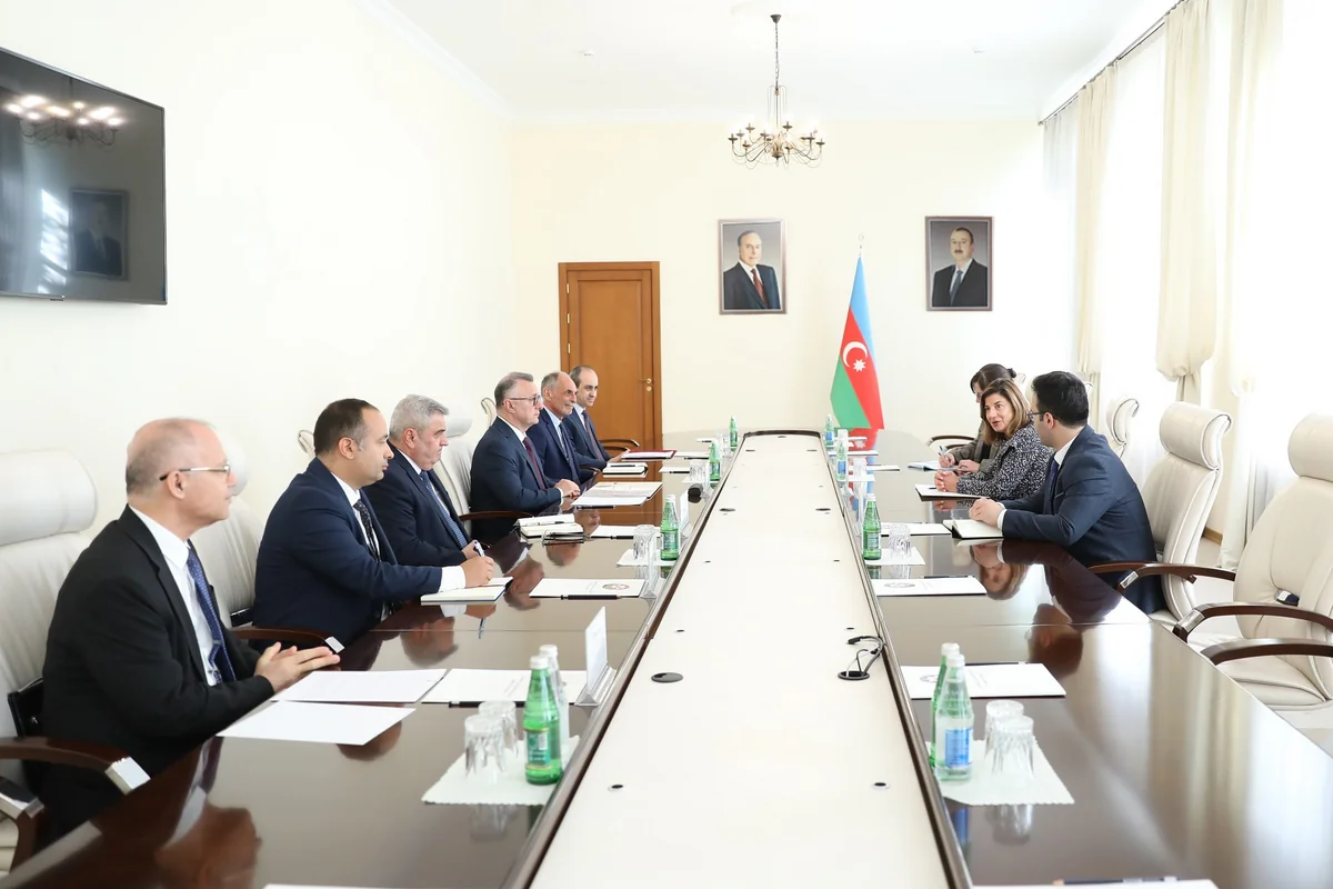 ICMP готова поддержать Азербайджан в поиске пропавших без вести лиц