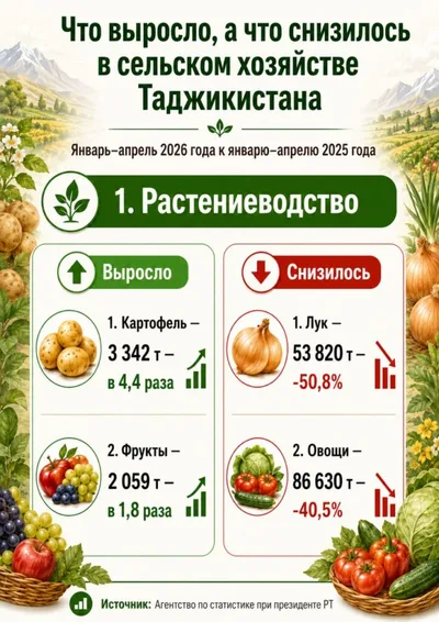 Сельхозпроизводство в Таджикистане: рост в животноводстве и спад в растениеводстве