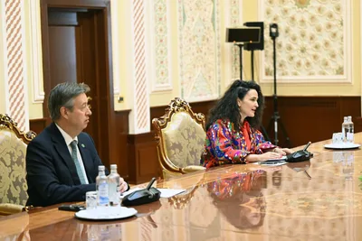 Эмомали Рахмон обсудил с главой Зелёного климатического фонда климатическое сотрудничество