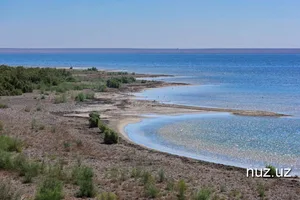 Денгизкуль — озеро, от которого зависит судьба тысяч перелётных птиц