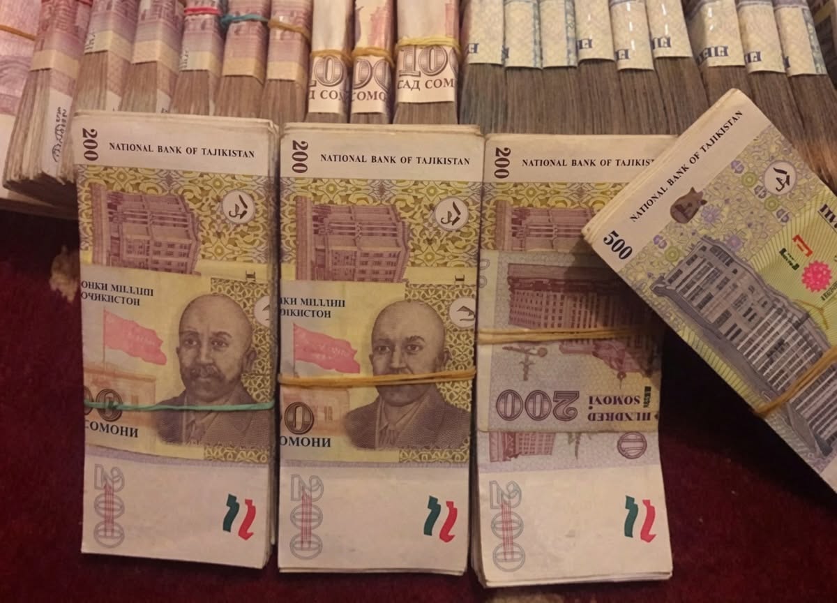 В Таджикистане сотрудников Института ботаники заподозрили в присвоении свыше миллиона сомони