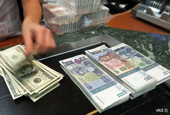 МВД Таджикистана сообщило о двух случаях мошенничества с ущербом в десятки тысяч долларов и сомони
