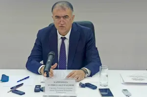 Каримзода назвал вывоз 476 черепах пятном на репутации Таможенной службы