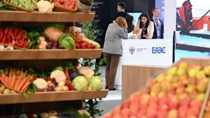 ЕЭК: за 11 лет существования ЕАЭС рост производства сельхозпродукции в нем составил 130,8%