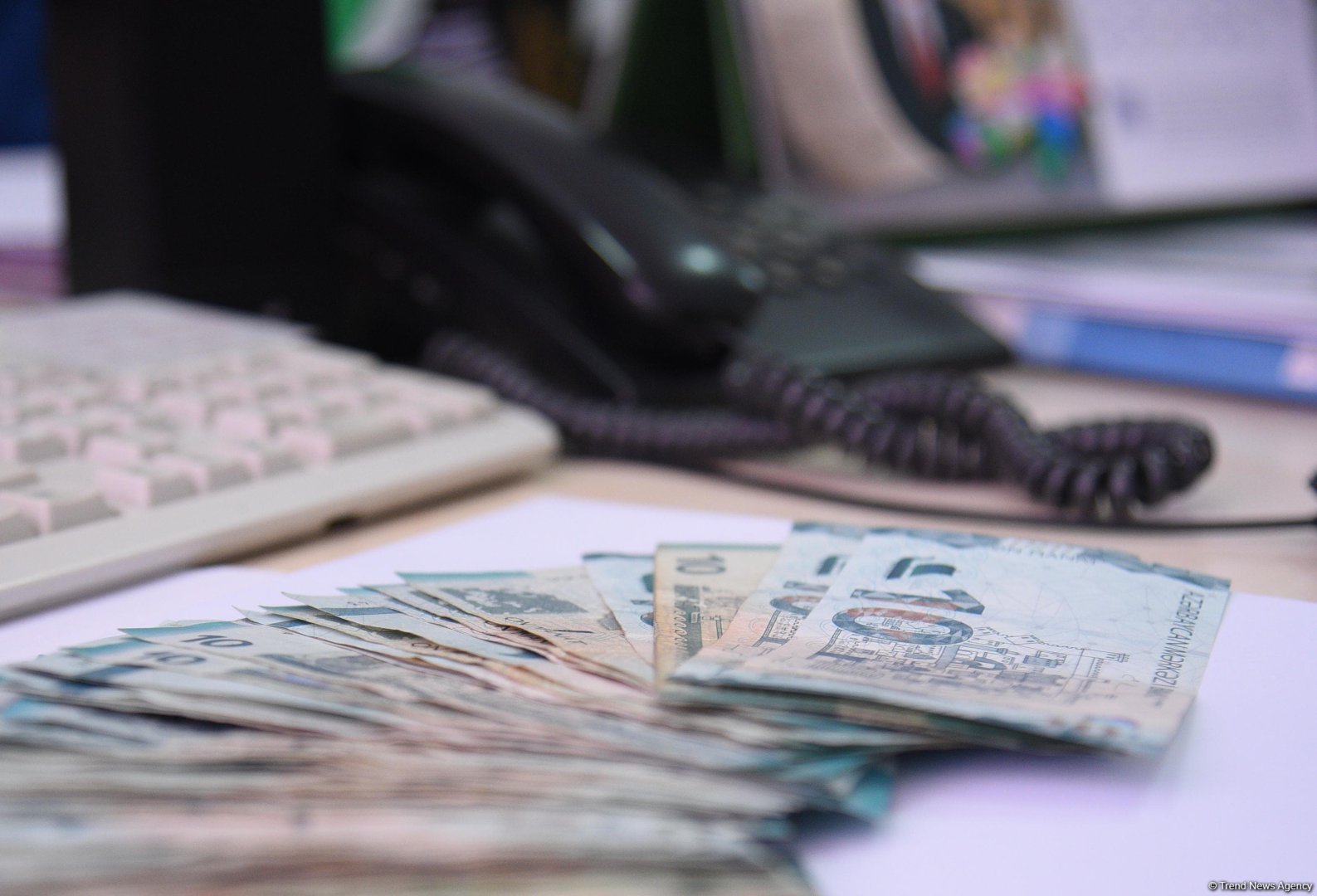 Минфин Азербайджана подвел итоги исполнения бюджета в аграрном секторе за 2025 г.
