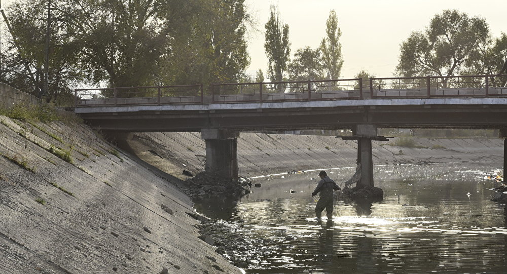 В БЧК нашли тело водителя автомобиля, упавшего в канал в Сокулукском районе