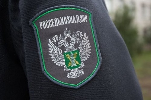 Россельхознадзор усилил контроль за получателями кыргызской сельхозпродукции, - Минсельхоз