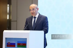 Министр экономики Азербайджана назвал приоритеты сотрудничества со Словакией