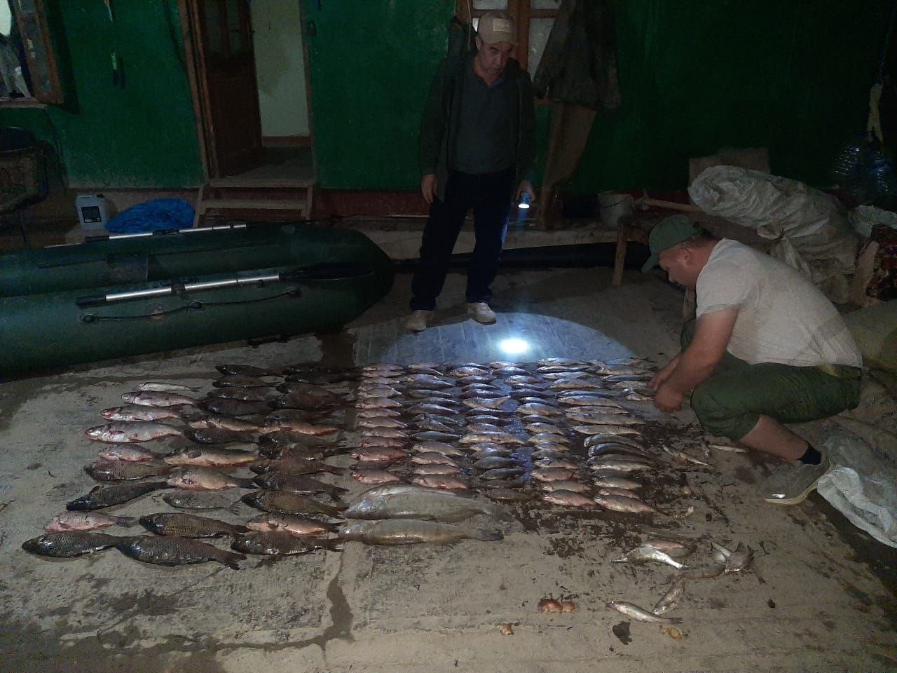 Во время запрета на рыбалку в Согдийской области изъяли 132 незаконно выловленные рыбы