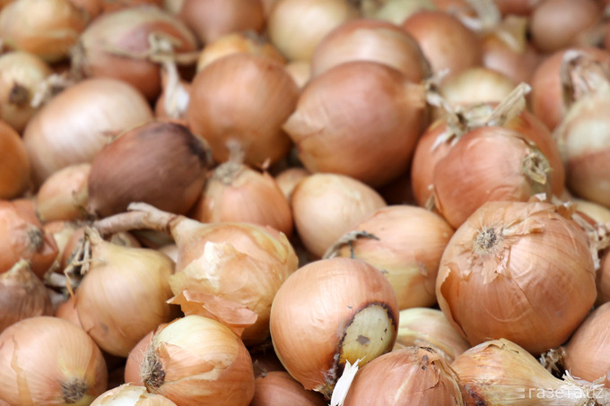 Кыргызстан вернул в Узбекистан 23 тонны лука и 5 тонн моркови из-за нарушений маркировки