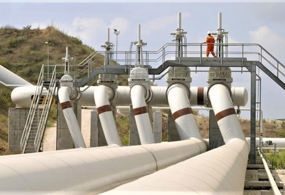 Около 557 млн тонн нефти прошло по БТД за два десятилетия работы