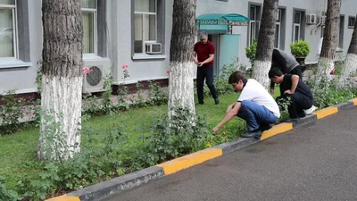В Душанбе провели экологическую акцию ко Дню окружающей сред